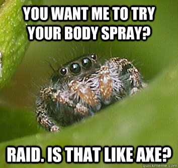 you want me to try your body spray?  Raid. is that like axe?  Misunderstood Spider