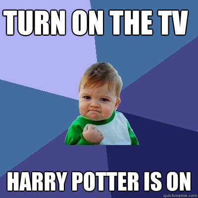 Turn on the TV Harry Potter is on  Success Kid