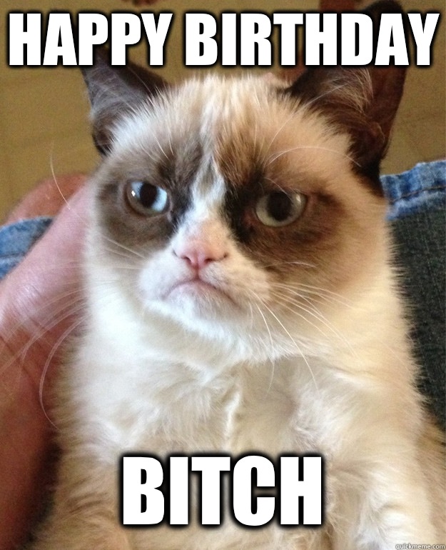 Happy birthday Bitch   Grumpy Cat