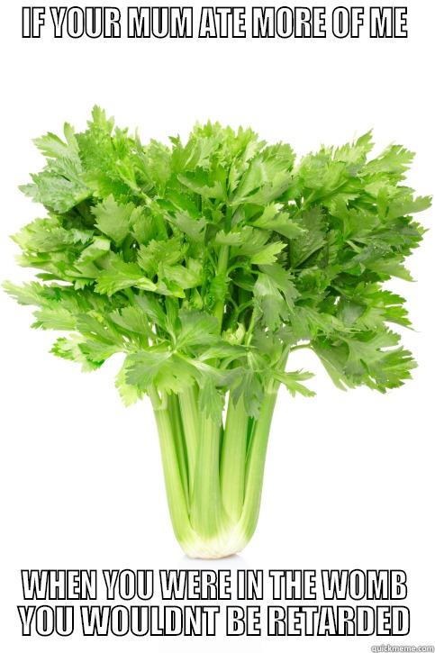 BANTER CELERY - IF YOUR MUM ATE MORE OF ME WHEN YOU WERE IN THE WOMB YOU WOULDN'T BE RETARDED Misc