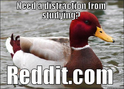 NEED A DISTRACTION FROM STUDYING? REDDIT.COM Malicious Advice Mallard