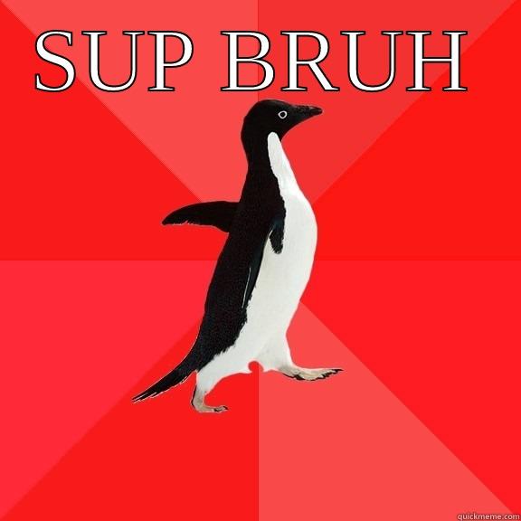 SUP BRUH  Socially Awesome Penguin