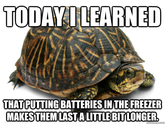 Today I learned That putting batteries in the freezer makes them last a little bit longer. - Today I learned That putting batteries in the freezer makes them last a little bit longer.  Today I Learned Turtle