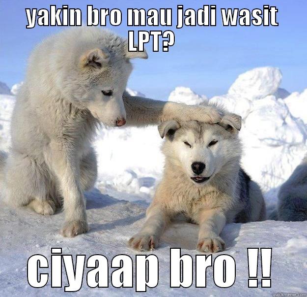 YAKIN BRO MAU JADI WASIT LPT? CIYAAP BRO !! Caring Husky