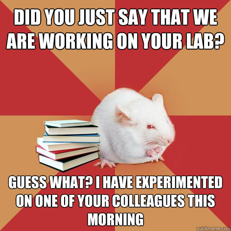 Did you just say that we are working on your lab? Guess what? i have experimented on one of your colleagues this morning  Science Major Mouse