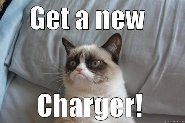 GET A NEW  CHARGER! Grumpy Cat