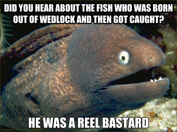 Did you hear about the fish who was born out of wedlock and then got caught? He was a reel bastard  Bad Joke Eel