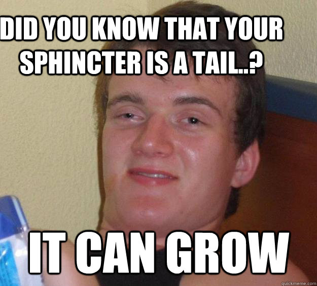 Did you know that your sphincter is a tail..? It can grow  10 Guy