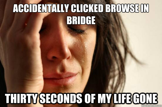 ACCIDENTALLY CLICKED BROWSE IN BRIDGE THIRTY SECONDS OF MY LIFE GONE  First World Problems