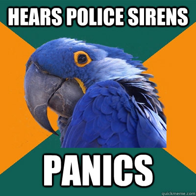 Hears police sirens panics  Paranoid Parrot