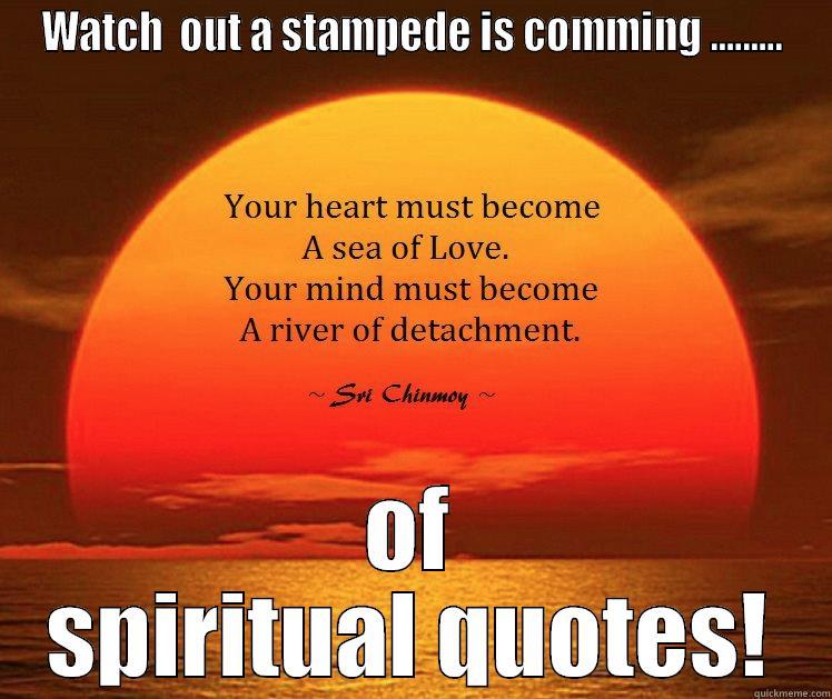 WATCH  OUT A STAMPEDE IS COMMING ......... OF SPIRITUAL QUOTES! Misc