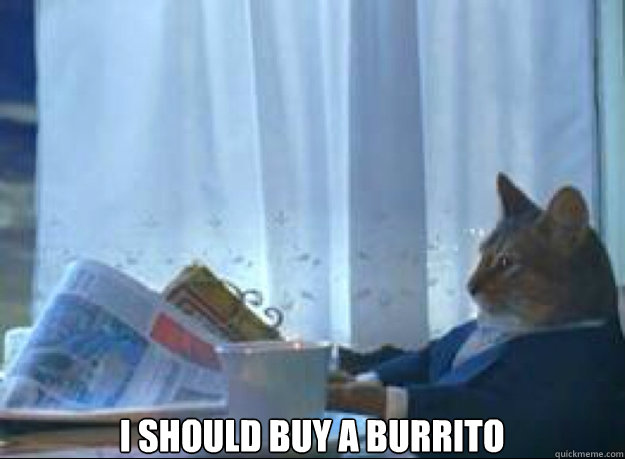 I should buy a burrito   I should buy a boat cat