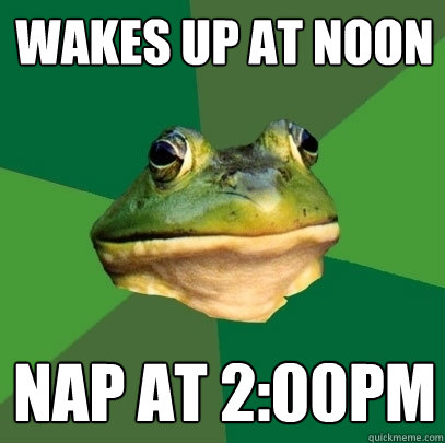 Wakes up at noon Nap at 2:00pm - Wakes up at noon Nap at 2:00pm  Foul Bachelor Frog