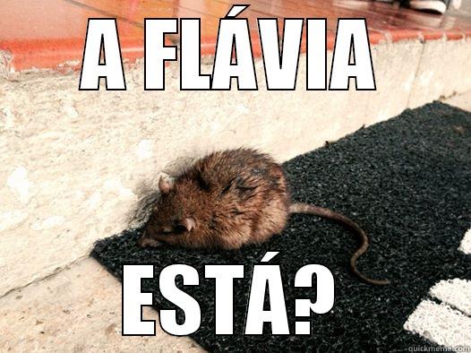 A FLÁVIA ESTÁ? Misc