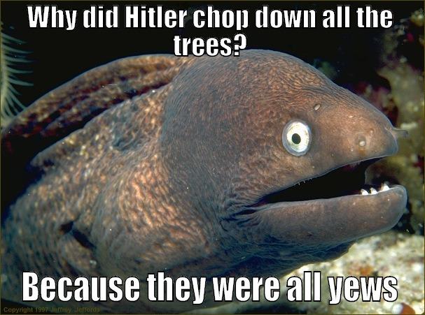 WHY DID HITLER CHOP DOWN ALL THE TREES? BECAUSE THEY WERE ALL YEWS Bad Joke Eel