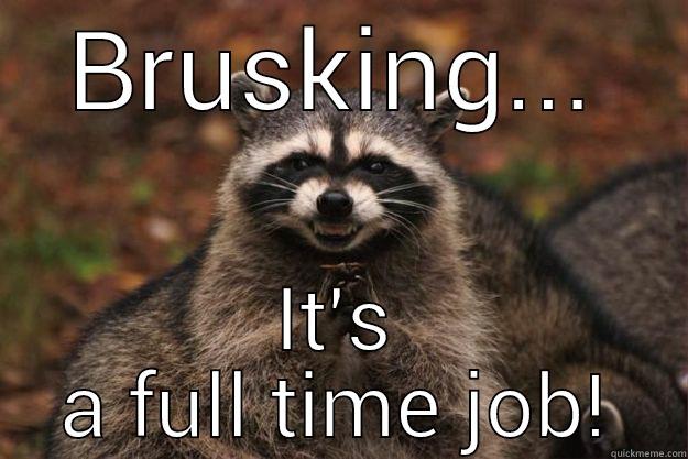 too much time - BRUSKING... IT'S A FULL TIME JOB! Evil Plotting Raccoon