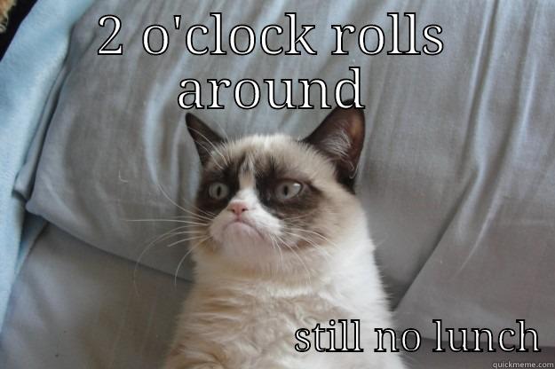 2 O'CLOCK ROLLS AROUND              STILL NO LUNCH Grumpy Cat