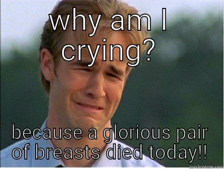 WHY AM I CRYING? BECAUSE A GLORIOUS PAIR OF BREASTS DIED TODAY!! 1990s Problems