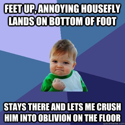 Feet up, annoying housefly lands on bottom of foot  Stays there and lets me crush him into oblivion on the floor - Feet up, annoying housefly lands on bottom of foot  Stays there and lets me crush him into oblivion on the floor  Success Kid