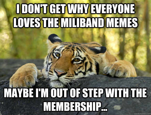 i don't get why everyone loves the miliband memes maybe i'm out of step with the membership... - i don't get why everyone loves the miliband memes maybe i'm out of step with the membership...  Confession Tiger