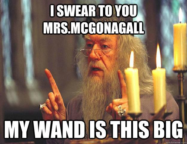 I swear to you mrs.Mcgonagall my wand is this big  Scumbag Dumbledore