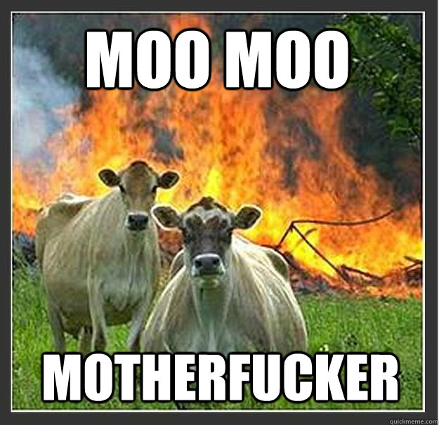 Moo Moo Motherfucker  Evil cows