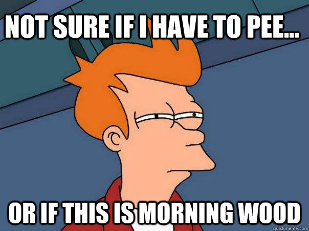 Not sure if i have to pee... or if this is morning wood - Not sure if i have to pee... or if this is morning wood  Futurama Fry