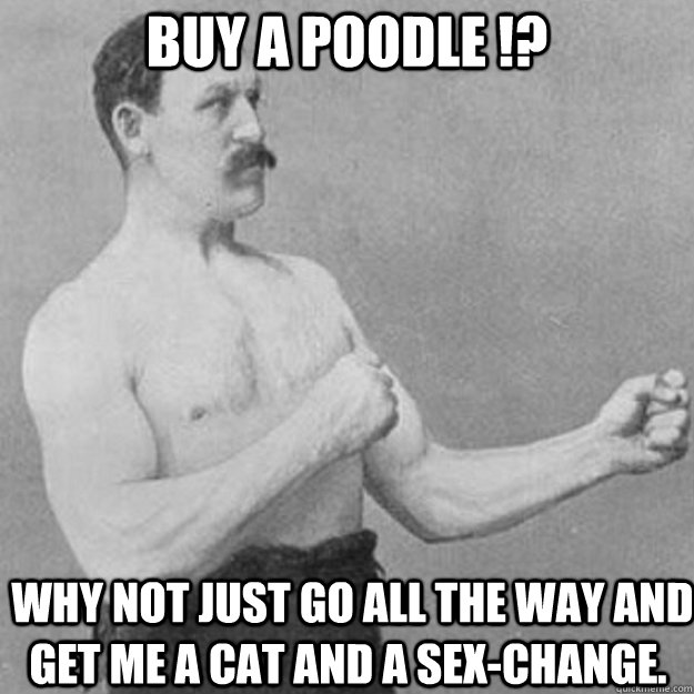 Buy a poodle !?  Why not just go all the way and get me a cat and a sex-change.  overly manly man