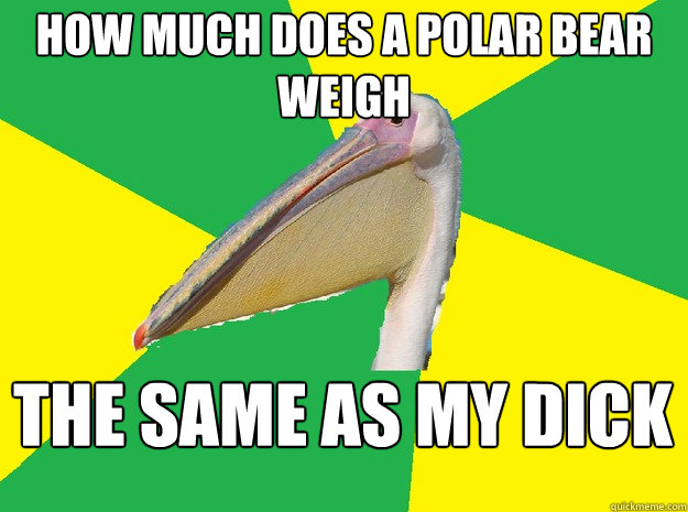How much does a polar bear weigh  the same as my dick - How much does a polar bear weigh  the same as my dick  Anti Pick Up Line Pelican