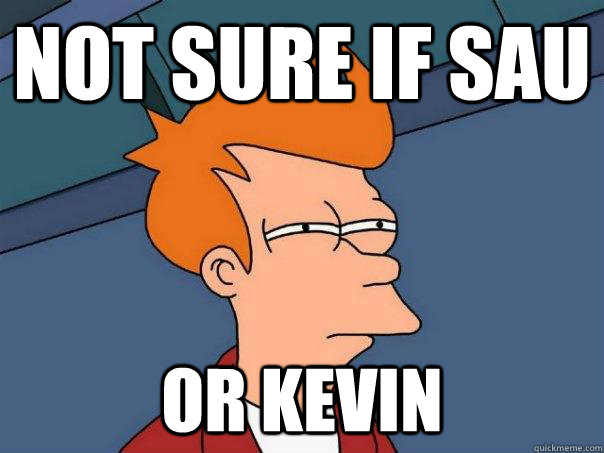 not sure if sau or kevin   Futurama Fry