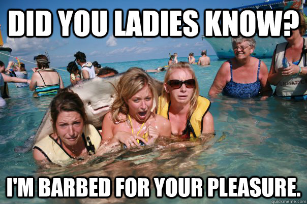 did you ladies know? I'm barbed for your pleasure.  Pervert Stingray