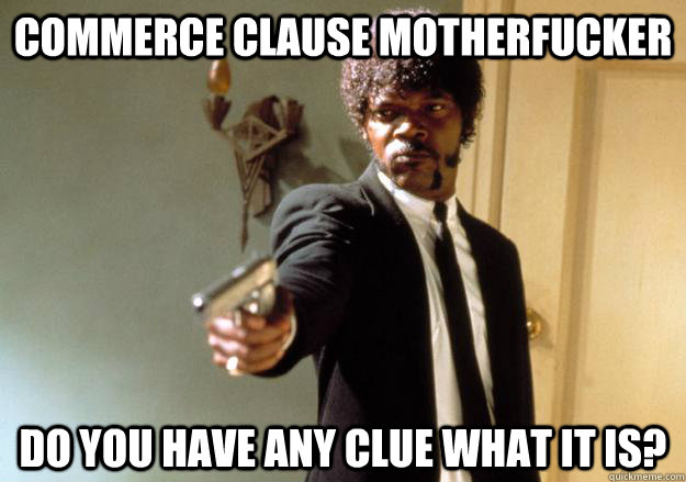 COMMERCE CLAUSE MOTHERFUCKER DO YOU HAVE ANY CLUE WHAT IT IS?  Samuel L Jackson