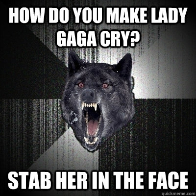 HOW DO YOU MAKE LADY GAGA CRY? STAB HER IN THE FACE  Insanity Wolf