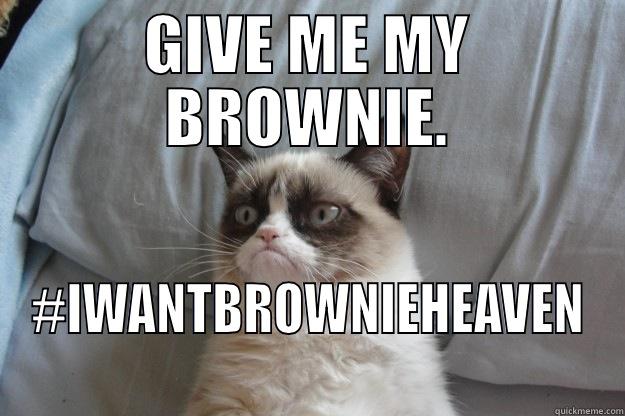 GIVE ME MY BROWNIE. #IWANTBROWNIEHEAVEN Grumpy Cat