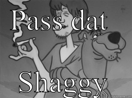 Got your back - PASS DAT  SHAGGY Misc