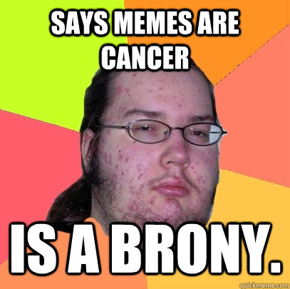 Says memes are cancer Is a brony. - Says memes are cancer Is a brony.  Butthurt Dweller