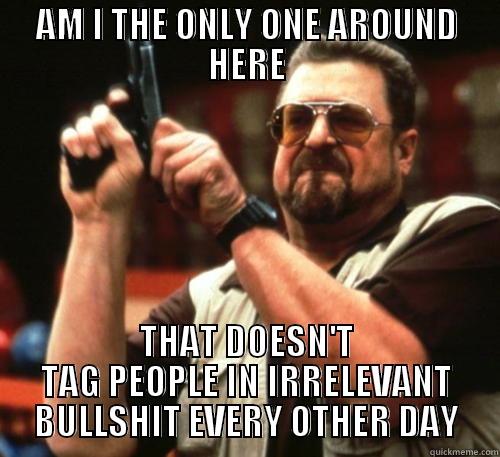 AM I THE ONLY ONE AROUND HERE THAT DOESN'T TAG PEOPLE IN IRRELEVANT BULLSHIT EVERY OTHER DAY Am I The Only One Around Here