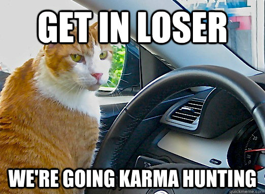 get in loser we're going karma hunting - get in loser we're going karma hunting  Misc