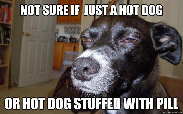 not sure if  just a hot dog  or hot dog stuffed with pill  Skeptical Mutt