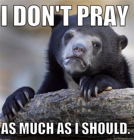 I DON'T PRAY   AS MUCH AS I SHOULD. Confession Bear