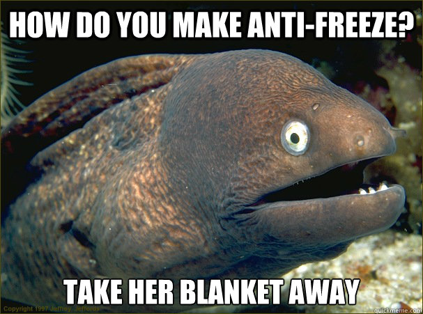 how do you make anti-freeze? take her blanket away  Bad Joke Eel