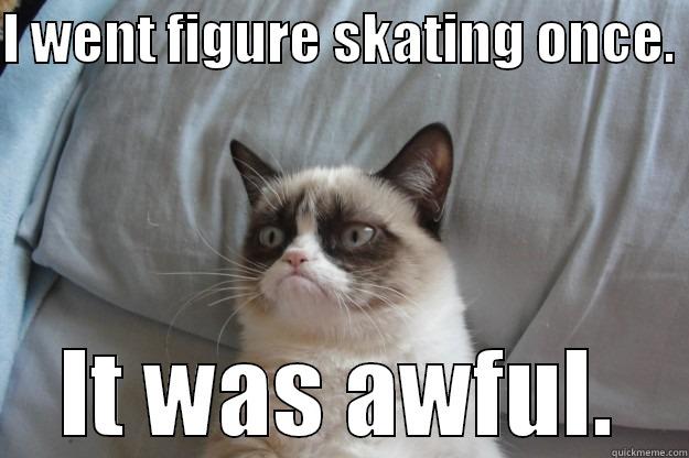 I WENT FIGURE SKATING ONCE.  IT WAS AWFUL. Grumpy Cat