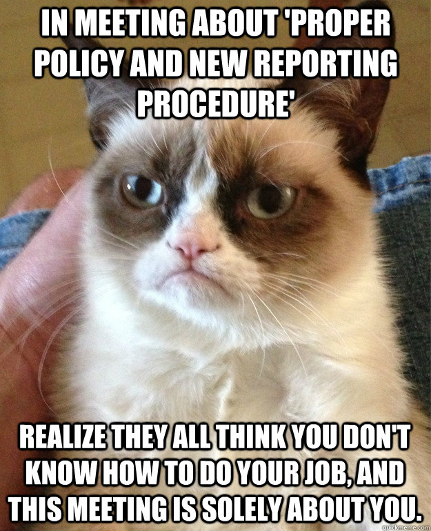 In meeting about 'proper policy and new reporting procedure' realize they all think you don't know how to do your job, and this meeting is solely about you.  Grumpy Cat