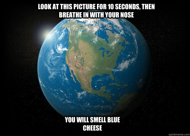 Look at this picture for 10 seconds, then breathe in with your nose You will smell blue cheese - Look at this picture for 10 seconds, then breathe in with your nose You will smell blue cheese  Blue Cheese