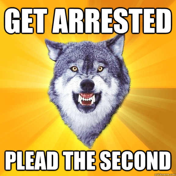 get arrested plead the second - get arrested plead the second  Courage Wolf