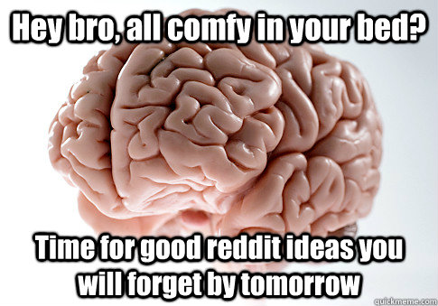 Hey bro, all comfy in your bed? Time for good reddit ideas you will forget by tomorrow  Scumbag Brain