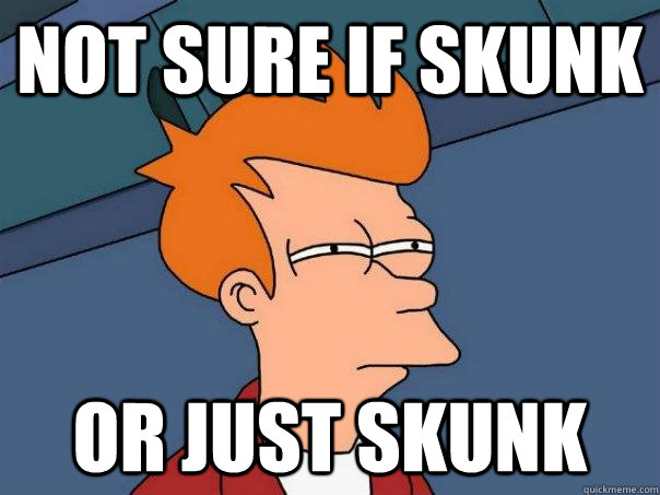 Not sure if skunk or just skunk  Futurama Fry