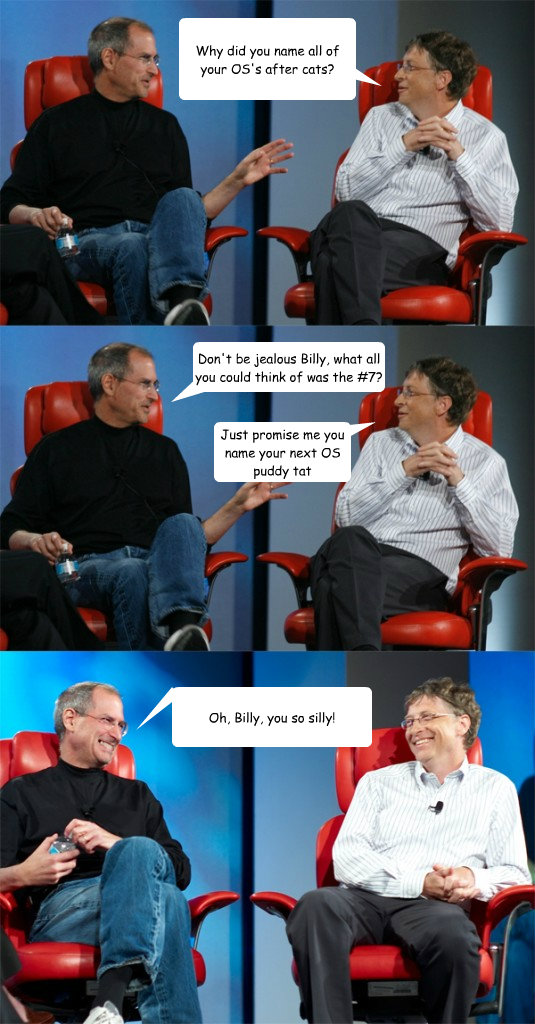 Why did you name all of your OS's after cats? Don't be jealous Billy, what all you could think of was the #7? Just promise me you name your next OS puddy tat Oh, Billy, you so silly!  Steve Jobs vs Bill Gates