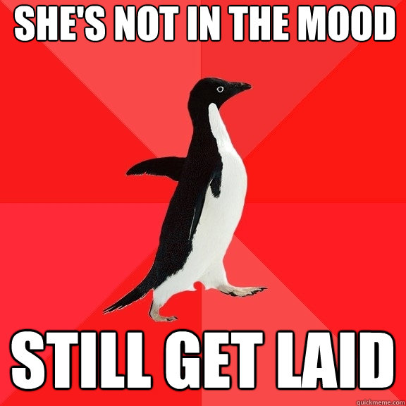 She's not in the mood still get laid  Socially Awesome Penguin