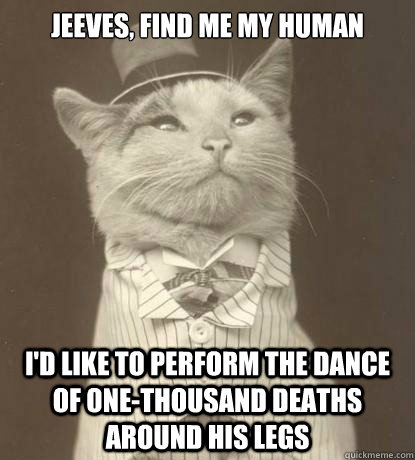 Jeeves, find me my human I'd like to perform the dance of one-thousand deaths around his legs  Aristocat